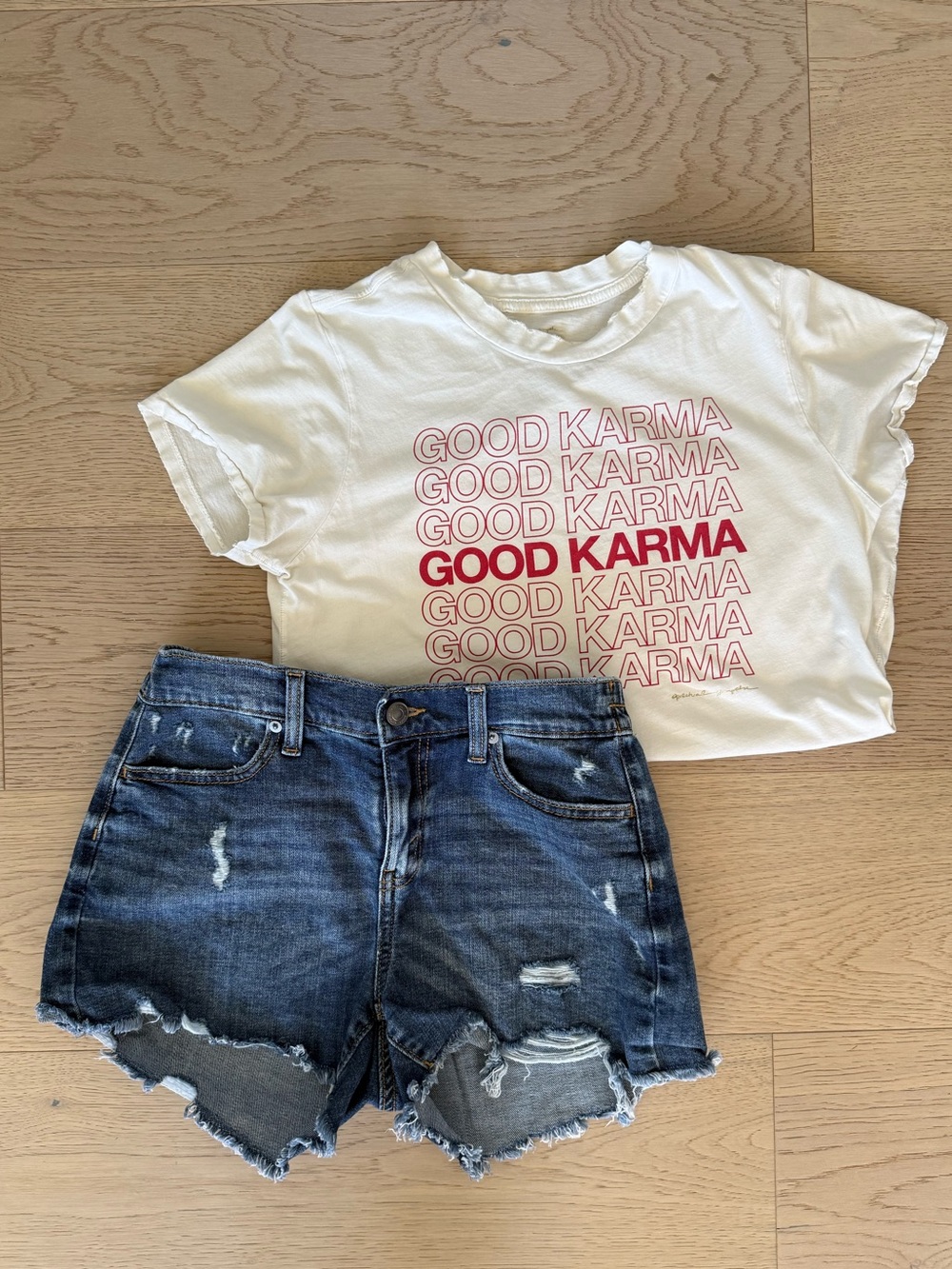 Aerie Cutoff Distressed Denim Shorts